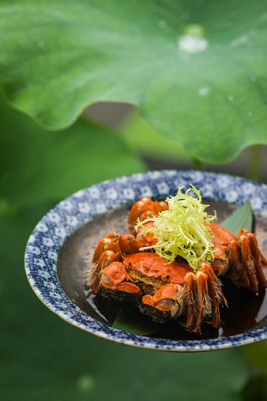 苏州柏悦酒店推出全新夏季菜单