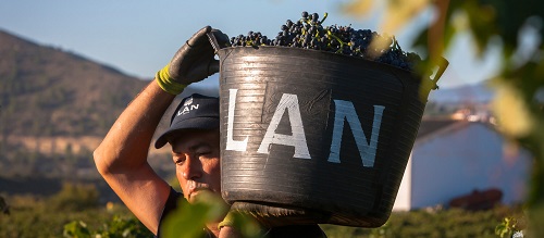 葡萄酒界的两项醉高荣誉竟被黄晓明的心头好LAN酒庄拿下，这个西班牙酒庄到底有何过人之处？