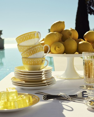 夏日新章：Malmaison Riviera马勒梅松海滨系列