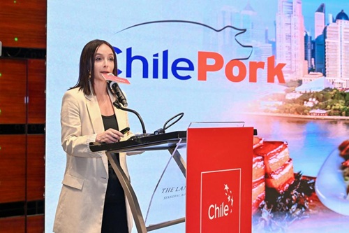 智利猪肉ChilePork年度晚宴圆满落幕，共拓猪肉市场新机遇